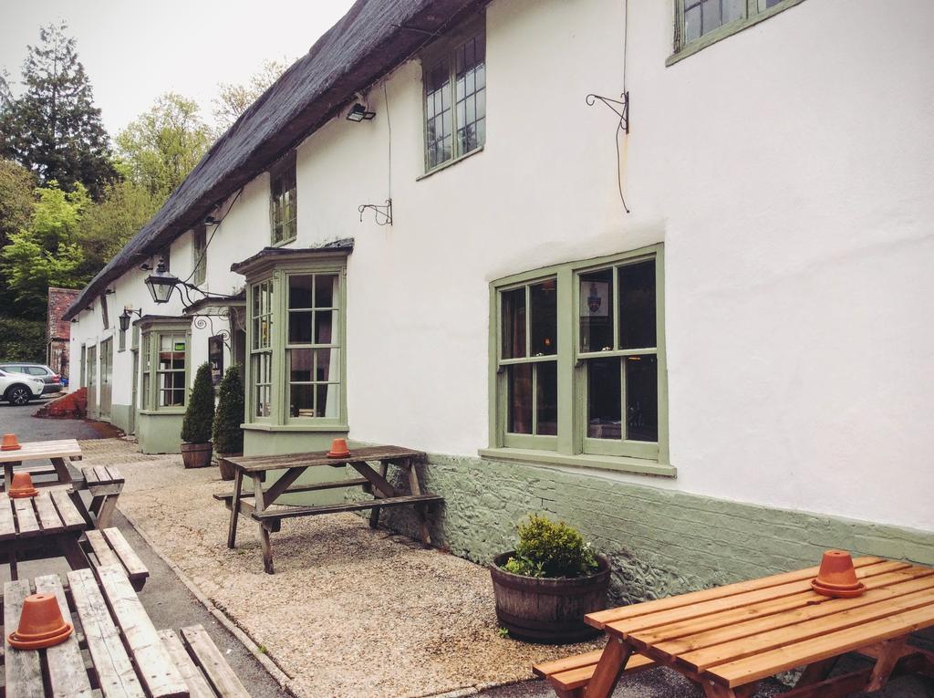 Отель Hambro Arms Milton Abbas Экстерьер фото